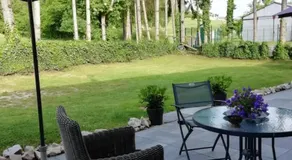 Arara - Image 3