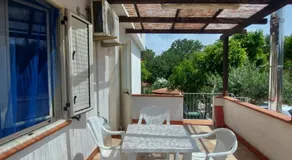 Capo summer - Image 4