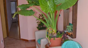 Sobe Pintur - Image 3