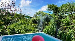 B tree Retreat homestay - Image 5