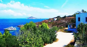Patmos Garden Sea - Image 4