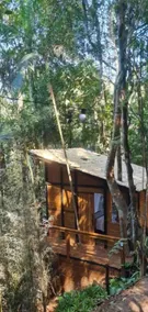 Tree House - Image 4