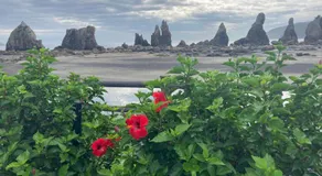 ゲストハウス両浜 - Image 5