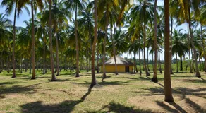 Kitelantis Tent Resort - Image 5