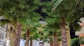 Casa vacanze A Milorda - Image 4