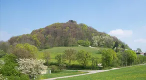 Ferienwohnung Lamm - Image 4