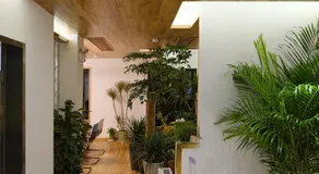 Rock&Wood Cozy House - Image 4