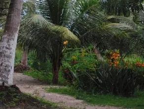Pousada Yuste Beach Farm - Image 2