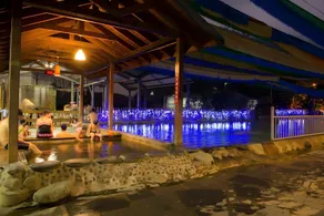 CDR HOTSPRING Resort - Image 4