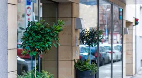 Hotel Avance - Image 4