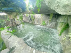 Futurotel Space Spa Garden - Image 4