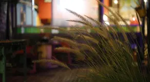 Carrusel Art-Hostel - Image 3