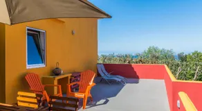 A Casa Amarela - Image 3