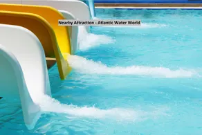 Spot On 39428 Diamond Swift - Image 3