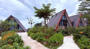 Ban Mai Xanh homestay Tam Đảo - Image 3
