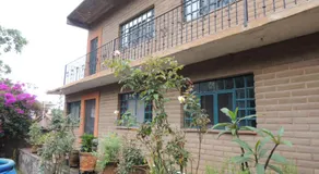 Ollin Calli Hostal-Temazcal - Image 3