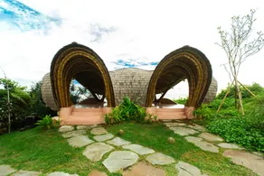 Oshom Bali - Image 2