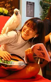 Animalia cafe and homestay - Image 2