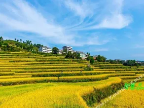 Tianzhongtian Sheying Motel - Image 4