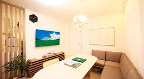 청담동, 명품거리, 청담역, 압구정로데오, 성형 병원, 한강공원, 강남도심, 발마사지기, 에어드레서, 무료주차 - Image 2