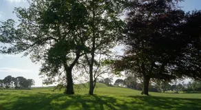 Cavangarden House - Image 2