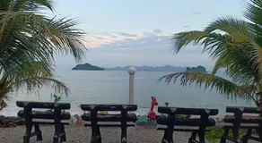Langkawi Primrose - Image 4