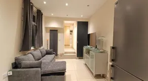 Triplex Hot Tub House with Private Garden - Image 2