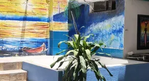 Guacamayas - Image 4