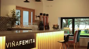 Viña Femita - Image 5