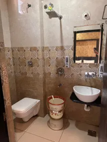 Hotel Sajan Palace - Image 4