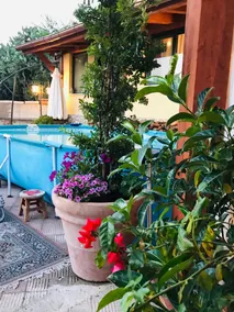 ***** La casa di Gio'- Appartamento Rustico Legno - Image 3