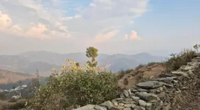 Adorable Stay - Pauri - Image 5