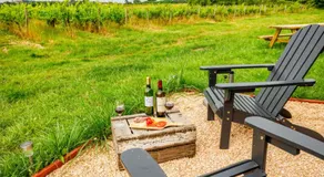 Tiny House au milieu des Vignes - Image 4