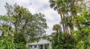 PALM POINT: Oasis In The Heart Of Melbourne - Image 5