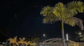 Quijote de Tampico - Image 3