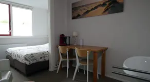 Texelzon - Image 2