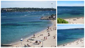 Fettolina Palm Beach, Location Cannes front de mer et plage - Image 3