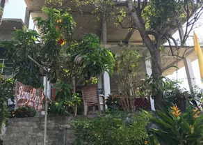 Jungle Beach Restaurant And Hotel-JBR - Image 4