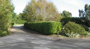 Clare House - Image 2