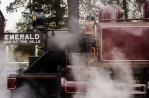 Artistic, SC apt. Puffing Billy nearby! - Image 3