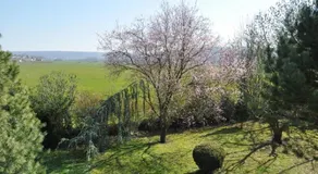 GITE TY COZ - Image 3