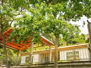 Modong Orchard Farmstay Boluo Luofu Moutain - Image 4