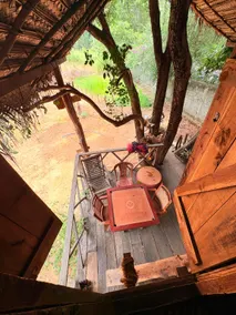 Elephant point tree house - Image 3