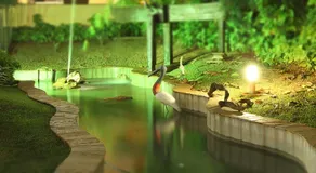 Hotel Jaguar - Image 5