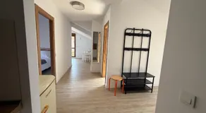 Apartamentos Boutique Don Miguel - Image 3