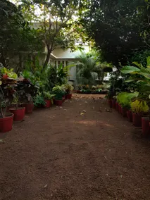 Bolpur Homestays - Image 5