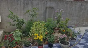shreejikunj - Image 3