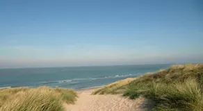 De Waterlelie - Image 4