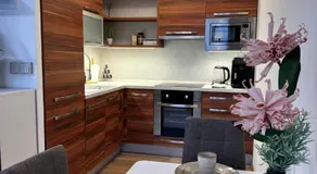 Smarty Choice Living with FREE PARKING - Vondroušova - Image 4