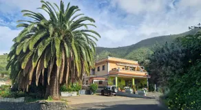 Los viñedos - Image 1